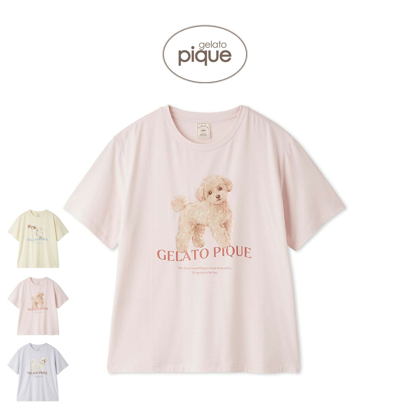 楽天市場】gelato pique マルチーズの通販
