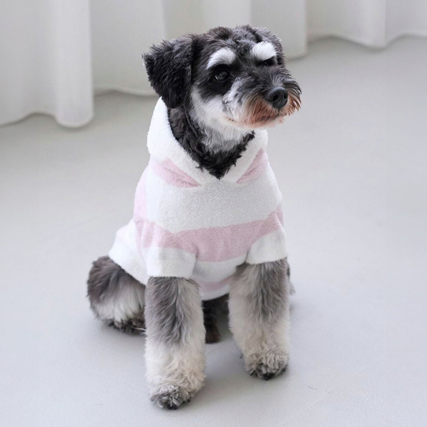 楽天市場】ジェラートピケ メンズ パジャマ（ドッグウェア｜犬用品