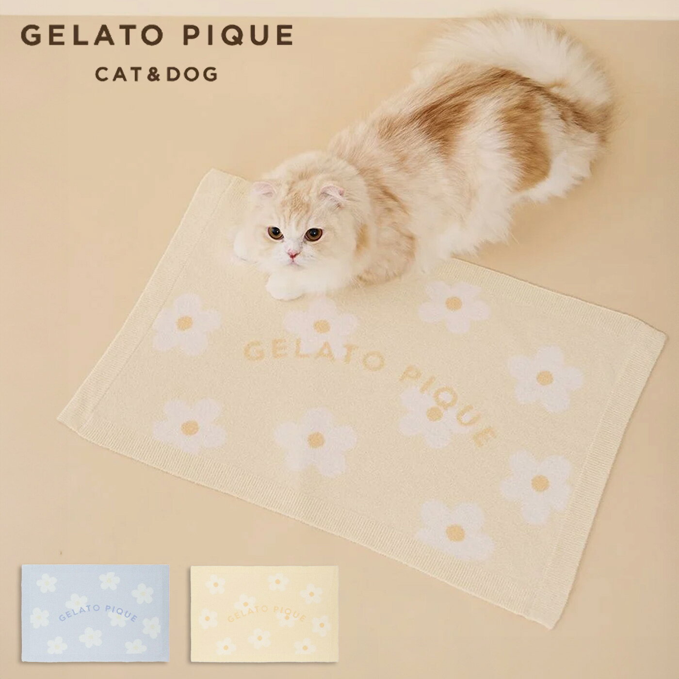 �����顼�ȥԥ� gelato pique CAT&DOG ���ࡼ�������ե����㥬���ɥ֥�󥱥å� pagg261580 ������ԥ� �ڥå��� ���� ���� ǭ...