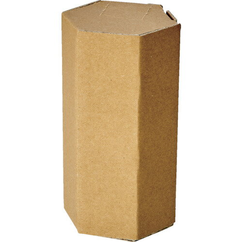 トラスコ TRUSCO ヘキサゴンパック 10本入り HEXAPACK