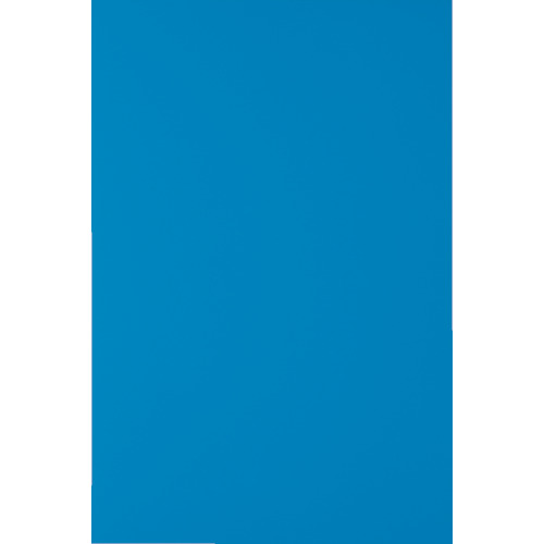 ����Ź���ꡪ����˥ݥ���Ⱥ���10�ܡ� �ȥ饹�� TRUSCO �ޥ��ͥåȥ����ȱ�ͭ200X300 �� MS-A2-B