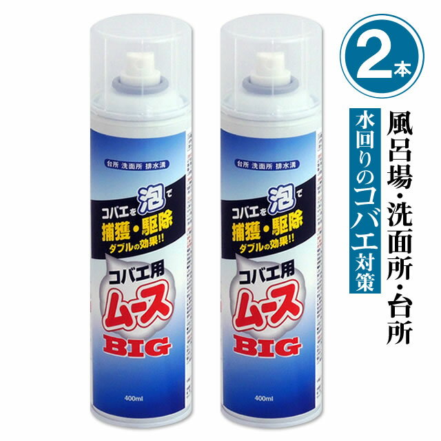 2本単位 コバエ用ムースBIG 400ml×2本 風呂場 チョウバエ コバエ風呂場 浴槽下 エプロン内部 キッチン 流し台 排水 駆除 ちょうばえ 退治トイレ 排水口 グレーチング 厨房 飲食店 洗面台 コバエ幼虫・成虫 退治ムース 泡で殺虫 ムース剤 殺虫剤 発生源対策