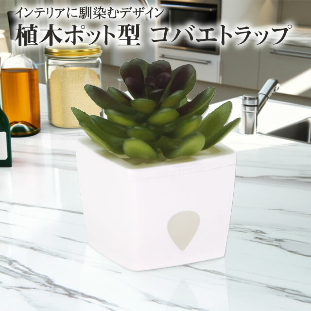 (誘引剤付き) 業務用コバエ捕り かわいい ミニ植木コバエトラップ ゼンドゾーンズ (サンディ/白色)植木ポット 小ばえ ショウジョウバエ ノミバエ 誘引捕獲インテリアに馴染む キッチン 飲食店 室内 ハエ取り コバエ駆除殺虫剤不使用ZENDOZONES SANDY コバエ取り