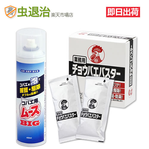 【コバエ駆除セット】コバエ用ムースBIG 400ml+チョウバエバスター 25g×2包 排水 水回り コバエ チョウバエ 駆除 お…