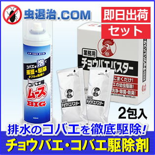 【あす楽】【コバエ駆除セット】コバエ用ムースBIG 400ml+チョウバエバスター 25g×2包 排水 水回り コバエ チョウバエ 駆除