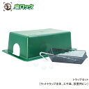 野ネズミ退治 トラップセット