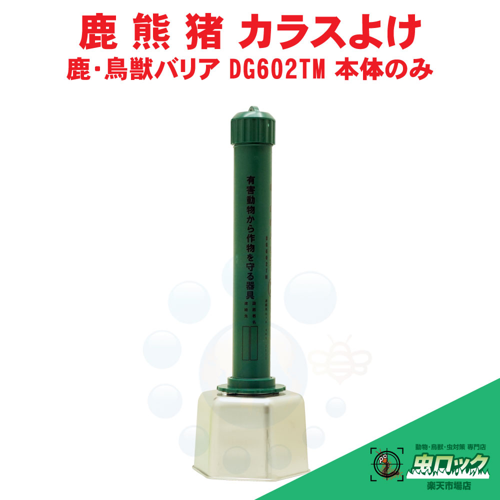  к Υ  ĻåХꥢ DG602TMΤΤߡ 褱  ⥷ 饹  Ȫ Ȫ  ̼ ﳲ