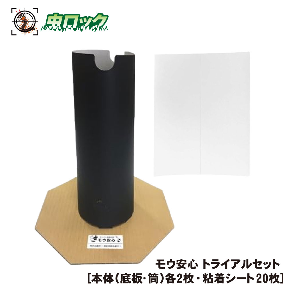 �����Х� ��� �⥦�¿� �ȥ饤���륻�å� �����Ρ����ġ����˳�2�硦Ǵ�奷����20��� ���� �ڼ� ����