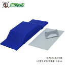 食品工場 貯穀倉庫 害虫対策 コクヌストモドキ駆除 トリオス トラップ本体セット 1セット コクヌストモドキ用(3)