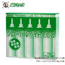 グローバルベイトエコ ECO 30g×5本 押し出し棒1本付き 毒餌剤 ベイト 害虫駆除  GLOBALBAIT ECO 不快害虫駆除用 ジェル剤