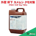 カメムシ 駆除 クモ 退治 プロコートGP 2kg「SES」 防虫 殺虫剤 蜘蛛 巣 予防 外壁 軒下 プロコートTP 後継品