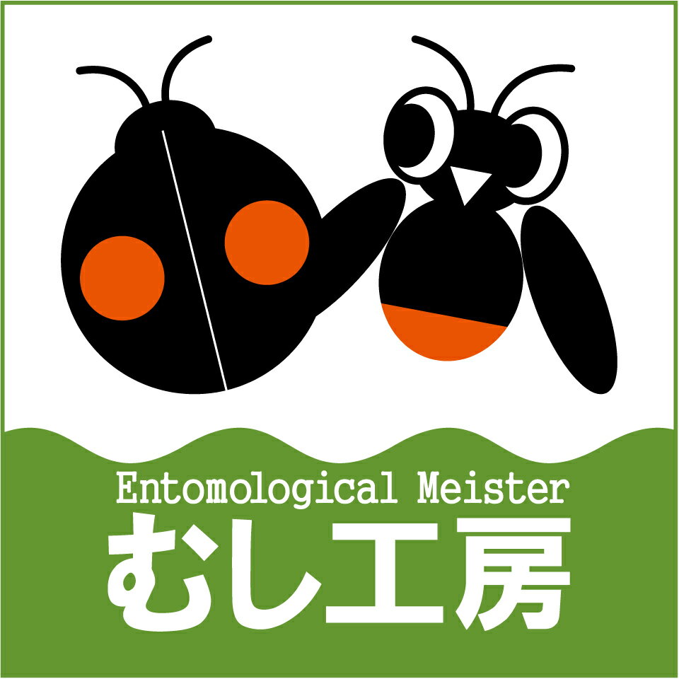Shop icon