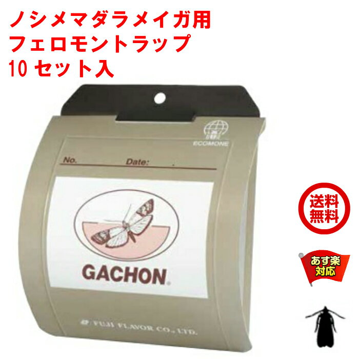 ノシメマダラメイガ 用 フェロモントラップ フジトラップ ガチョン 10セット入 トラップ ルアー 各10個 GACHON 富士フレーバー メイガ類 領収書 6月 スーパーセール あす楽対応 ポイント 消化 …