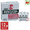 12個セット ハエ駆除 業務用 チョウバエバスター 10包入り 1ケース 金鳥 キンチョー 殺虫剤 コバエ チョウバエ ショウジョウバエ 駆除 蠅 蝿 とり 取り 退治 対策 排水口 グリストラップ トイレ RSL 5月 あす楽対応 ポイント 消化 虫ナイ