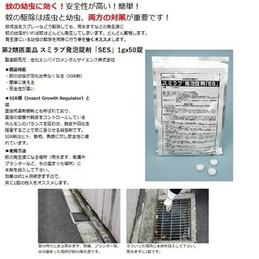 60個セット ボウフラ 駆除 スミラブ 発泡錠剤 SES 1g×50錠 第2類医薬品 蚊 幼虫 孑孑 発泡錠 薬剤 ピリプロキシフェン 使用方法 効果 側溝 IGR 住友化学 あす楽対応 8月 お買い物マラソン ポイント 消費 消化 領収書発行 エントリーで