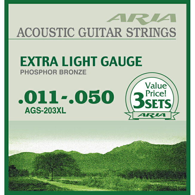 Aria AGS-203XL アコースティックギター弦 3セットパック を 6set