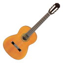 （弦長580mm、9〜11才向け） 通常のギターではちょっと大きいという方に適したモデル。 TOP:Redシダー単板 Back&Sides:Sapelli Made in Spain ソフトケースサービス