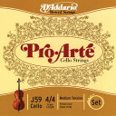 D'Addario ProEArte J59 Set (silver G) __I `F