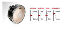 EVANS EC Revers Dot:B14ECSRD (14