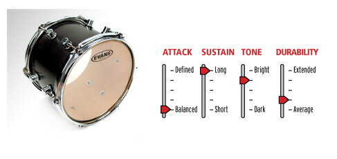 EVANS GENERA G1クリア：TT10G1 (10")（25cm）