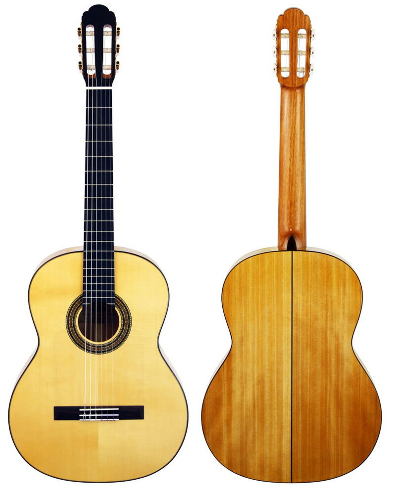 トップにスプルース単板を採用したフラメンコギター クラシックギターに比べ薄く作られたボディと、 裏＆側板に軽い木材を使用することで明るく 立ち上がりの早いサウンドを実現しています。 歯切れが良く、バランスのとれたサウンドが魅力。 もちろん表板の傷を防ぐゴルペ板も装備しています。 仕様 Top: Solid Spruce Back & Sides: Agathis Thickness of Body: 85-90mm Saddle&Nut: Bone Width of Nut: 52mm Width of Neck (12F): 63mm Neck: Mahogany Fingerboard: Rosewood Scale: 650mm Bridge: Rosewood Hardware: Gold Other: Golpe board