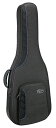 Reunion Blues RBC-SH RB Continental Voyager Semi Hollow Electric Guitar Case