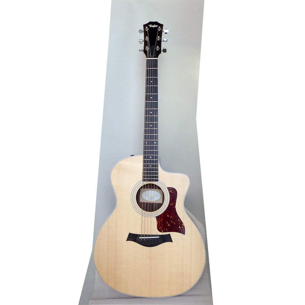 Taylor 214ce Rosewood エレアコ　専用ギグバック付