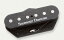 SeymourDuncan(⥢󥫥) ԥåå ƥ쥭㥹 Hot STL-2 Lead