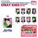 ★条件特典付★即日発送★ Stray Kids 5-STAR Dome Tour 2023 Seoul Special (UNVEIL 13) PHOTOCARD CASE SET ドームツアー スキズ ライブ 公式グッズ MD 