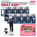 ★条件特典付★即日発送★【 選択可 /フラッグスタンド 】 Stray Kids 5-STAR Dome Tour 2023 Seoul Special (UNVEIL 13) FLAG STAND ドームツアー スキズ ライブ 公式グッズ MD 【キャンセル不可】