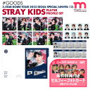 ★条件特典付★即日発送★【 選択可 /プレイヤープロフィールセット 】 Stray Kids 5-STAR Dome Tour 2023 Seoul Special (UNVEIL 13) PLAYER PROFILE SET ドームツアー スキズ ライブ 公式グッズ MD 【キャンセル不可】