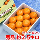 お中元 ギフト みかん フルーツギフト安心のハイテク光センサ...