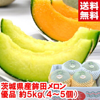 茨城県鉾田産 大玉メロン優品3L～2Lサイズ 約5kg（4～