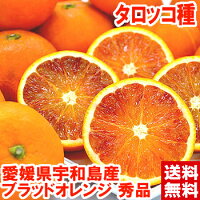 愛媛県宇和島産ブラッドオレンジ なかなか手に入らない貴重な品種！北海道、沖縄・...