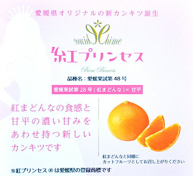 愛媛県産 紅プリンセス愛媛県オリジナルの新柑橘！紅まどんな＆甘平から生まれた品種北海道、沖縄、一部離島は別途1,000円...