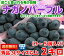 送料無料 ナガノパープル 冷蔵便高評価レビューが物語る驚きの美味しさ!!皮ごと食べられるブドウ♪ナガノパープル秀品3Lサイズ以上 2kg(3〜5房入り)【北海道、沖縄、一部離島は別途500円】