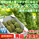 送料無料 ぶどう ゴールデンナイアガラ一度食べたら独特な味と香りがクセになる♪長野産ゴールデンナイアガラ　秀品 約2kg【北海道・沖縄・一部離島は別途500円】