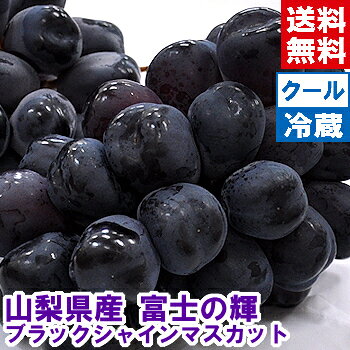 楽天市場】富士の輝き ブドウの通販