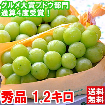 グルメ大賞「ブドウ部門」通算4度受賞!!山梨・長野県産 大房シャインマスカット秀品 3Lサイズ 1.2kg（2房入り）北海道、沖縄・一部離島は発送不可