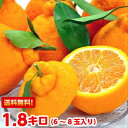 今シーズン最後の売尽くし価格!デコポン 樹成り完熟 送料無料...