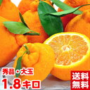 蒲郡産樹熟大玉デコポン1.8Kg（5〜8