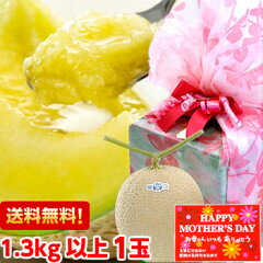 https://thumbnail.image.rakuten.co.jp/@0_mall/muskmelon/cabinet/haha/1bn3116.jpg