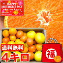 母の日 プレゼント ギフト個性豊かな果汁たっぷり♪5種類以上の柑橘が楽しめる初夏の柑橘福袋 4kg北海道、沖縄、一部離島は別途1,000円
