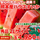 【送料無料】【母の日ギフト】【スイカ】ハイテク光センサーで最...