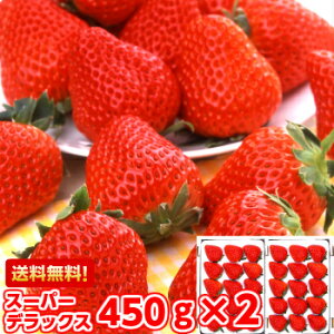 【静岡いちご】静岡県産の甘くて美味しい苺のおすすめは？