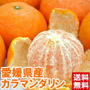 愛媛県産 カラマンダリンこの時期でもみかん感覚で食べれます!平均糖度15度以上の濃厚果汁は絶品♪北海道、沖縄、一部離島は別途1,000円