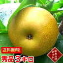 樹成り完熟大玉豊水梨3kg光センサーでトップクラスの13度保障♪敬老の日 ギフト 梨 豊水北海道、沖縄、一部離島は別途1,000円
