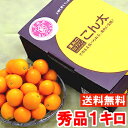 なんと平均糖度20度以上！まるで砂糖菓子を食べているような感覚♪清水生まれの完熟きんかんこん太 秀品 約1kg北海道、沖縄・一部離島は発送不可