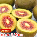 山梨県産 レインボーレッド1.2kg全国でも数箇所しか栽培されていない常識を覆すほど甘〜い♪キウイフルーツ北海道、沖縄、一部離島は別途1,000円