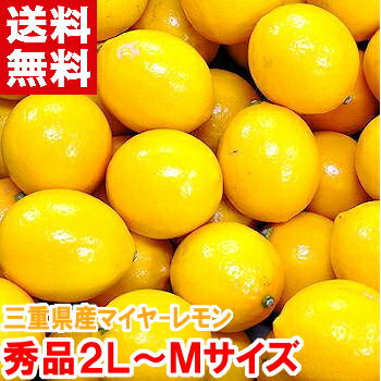三重県産マイヤーレモン 秀品オレンジとレモンの交配種！酸味が少なくまろやかな果汁が人気♪防腐剤・ワックス未使用だから安心・安全！..